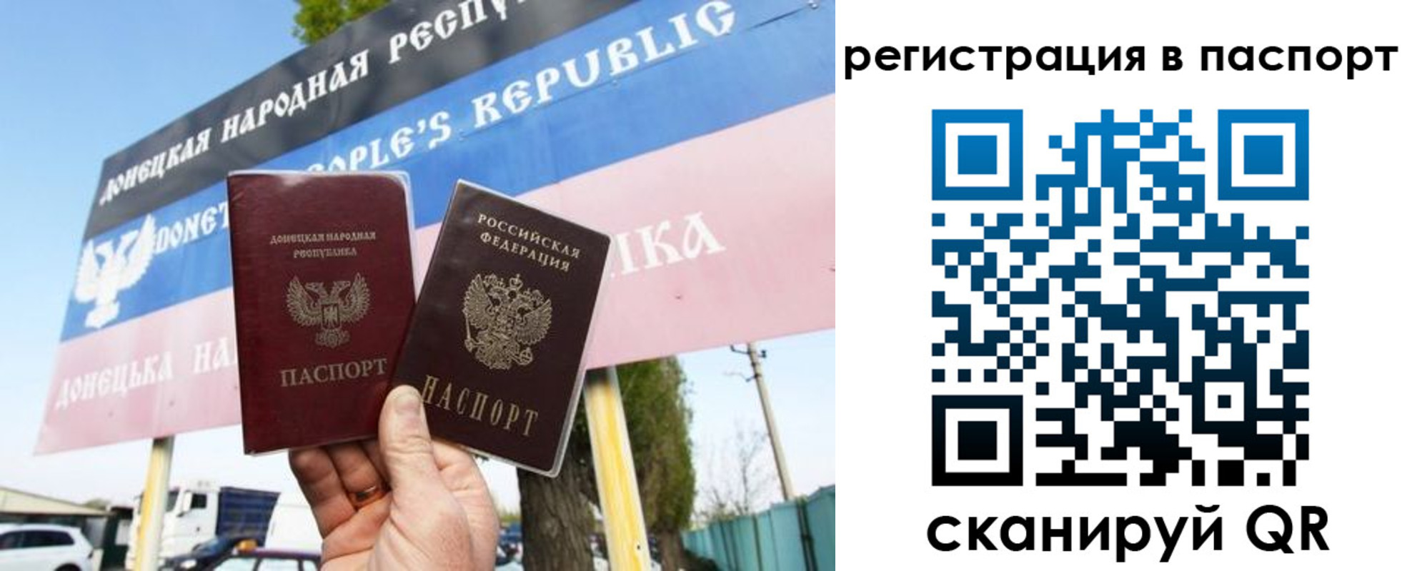 прописка поиск в Ельце